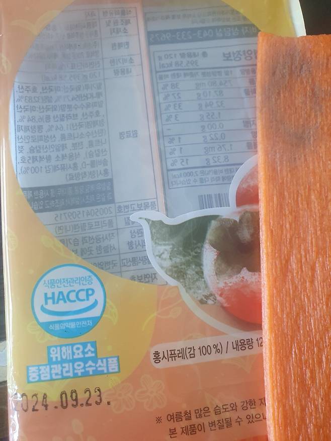 곰팡이 쫀디기 조심하세요