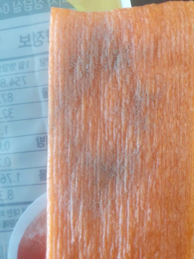 곰팡이 쫀디기 조심하세요