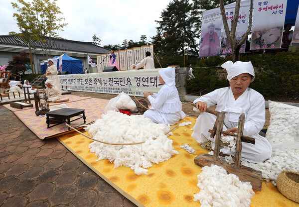 ㈔전통문화무명베짜기 재현 보존회가 2013년 산청군 단성면 사월리 배양마을 앞 광장에서 제7회 무명베짜기 재현 보존축제 및 전국 민요경연대회를 개최하고 있다. /연합뉴스 