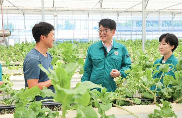 권재한 농촌진흥청장(가운데)이 6일 김영 충남도농업기술원장(오른쪽)과 함께 충남 논산의 한 상추 수경재배 농가를 찾아 재배 현장을 살펴보고 있다. 농진청