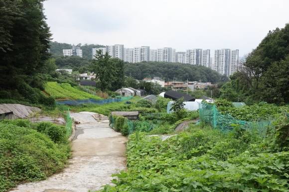 정부가 8일 부동산 관계장관회의를 열고 ‘국민 주거안정을 위한 주택공급 확대방안’을 발표했다. 정부는 수도권 내 개발제한구역(그린벨트)을 해제해 올해와 내년 각각 5만 가구, 3만 가구 등 총 8만가구 규모의 신규 택지를 발굴할 예정이다. 사진은 이날 그린벨트 해제지로 유력 거론되는 서울 서초구 내곡동 일대 모습. 2024.8.8 뉴스1
