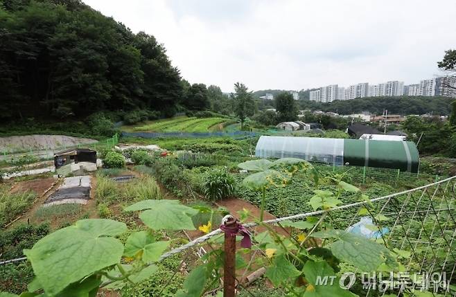 (서울=뉴스1) 김진환 기자 = 정부가 8일 부동산 관계장관회의를 열고 '주거안정을 위한 주택공급 확대방안'을 발표했다.   정부는 수도권 내 그린벨트(개발재한구역)를 해제해 올해와 내년 각각 5만 가구, 3만 가구 등 총 8만가구 규모의 신규 택지를 발굴할 예정이다.   세부 대상지는 오는 11월 발표 예정으로, 당장 오는 13일부터 서울 그린벨트 전역과 인접 수도권 지역 모두 '토지거래허가구역'으로 묶인다.   사진은 이날 그린벨트 해제지로 유력 거론되는 서울 서초구 내곡동 일대 개발제한구역에 걸린 그린벨트 해제 촉구 현수막. /사진=(서울=뉴스1) 김진환 기자