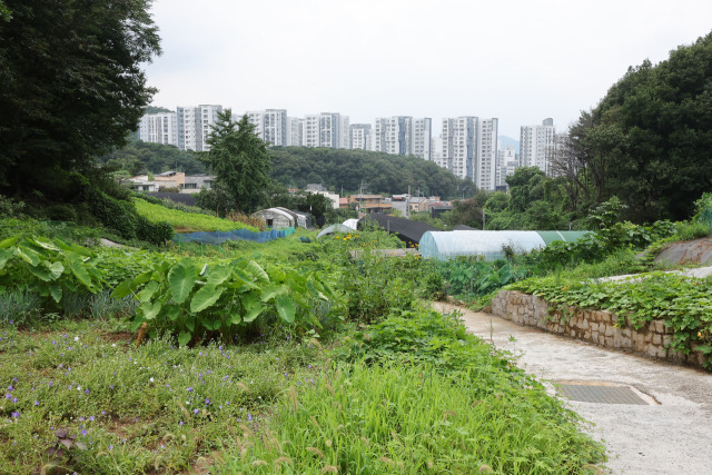 그린벨트 해제지로 유력하게 거론되는 서울 서초구 내곡동 일대 개발제한구역. 뉴스1