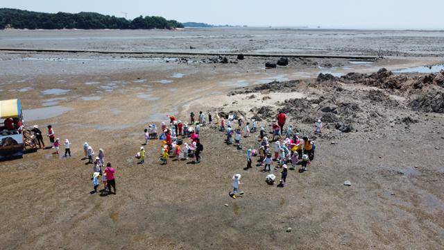 경기 화성시 서신면 백미리 어촌마을 갯벌체험장에서 관광객들이 조개잡이 체험에 나서고 있다. 백미리어촌계 제공