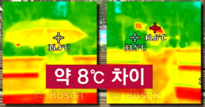 JTBC 뉴스룸 캡처