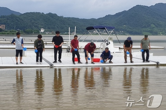 11일 충북 충주시 등 자치단체가 물고기 치어 방류 사업을 계속하는 가운데 치어 방류가 물고기 어업량 증가에 도움이 된다는 연구결과가 나와 주목된다.  사진은 쏘가리 치어 방류 모습.(자료사진)/뉴스1