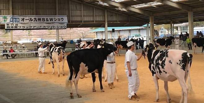 구마모토난료고등학교의 '우부(牛部)' 활동 모습.(사진출처=구마모토난료고등학교)