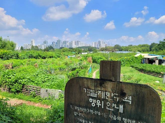 지난 9일 서울 송파구 방이동 그린벨트 지역 뒤로 올림픽아파트와 올림픽파크포레온이 보인다. 사진=최용준 기자