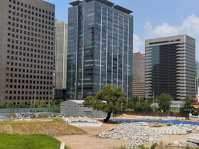 수백년 동안 덕수궁 선원전 터를 지켜온 회화나무(가운데)의 바로 뒤로 광화문 일대 고층 빌딩들이 늘어서 있다. 신지은 제공