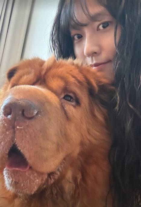 설현 소셜미디어