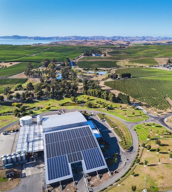 태양광 시설을 갖춘 옐랜드 와이너리 전경.