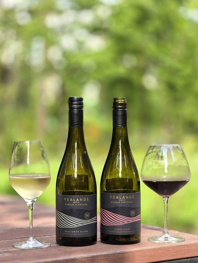 옐랜드 싱글빈야드 소비뇽블랑과 피노누아. 최현태 기자
