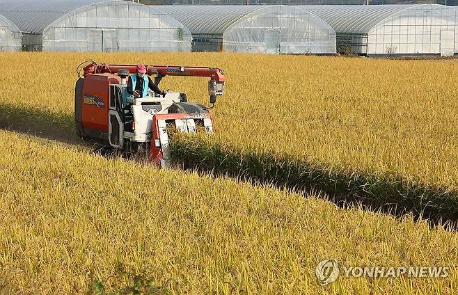 가을 수확 [연합뉴스 자료 사진]