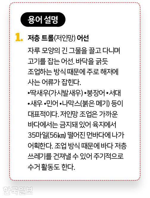 그래픽=신동준 기자