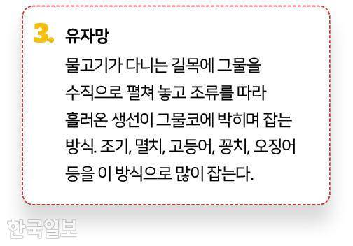 그래픽=신동준 기자