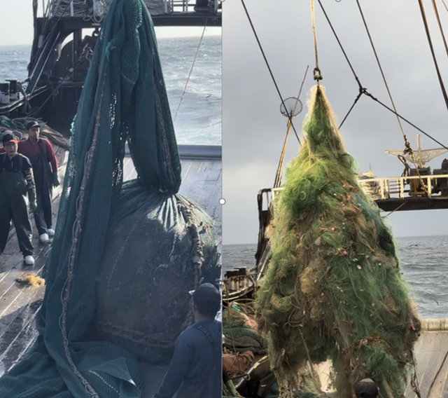 영진호 선원들이 출항 나흘 째인 지난달 6일, 뭔가로 가득 찬 복주머니 모양의 그물을 바라보고 있다.(왼쪽) 하지만 기대와 달리 그물에는 대형 폐그물이 걸려 있었다. 제주=유대근 기자