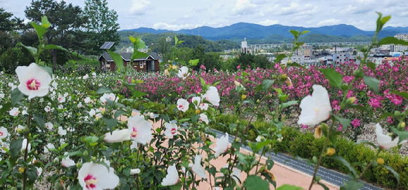 전북 장성 무궁화공원 전경. [사진=산림청]