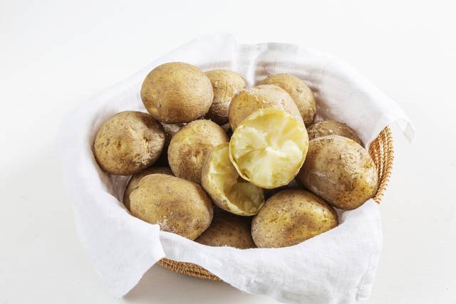 사진은 기사의 특정 내용과 관련 없음. 이미지투데이