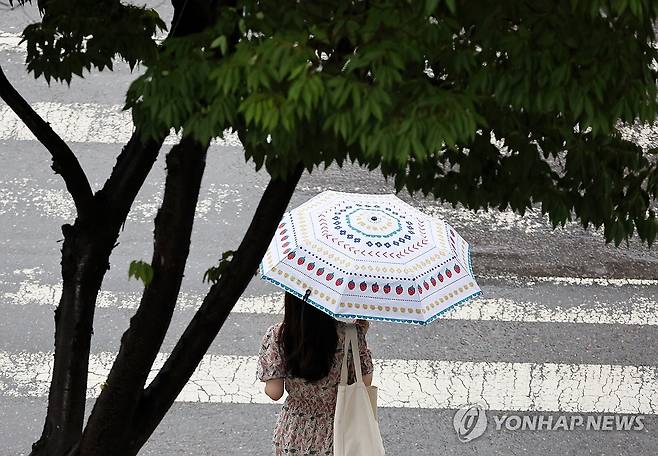 폭염경보 중 소나기 [연합뉴스 자료사진]