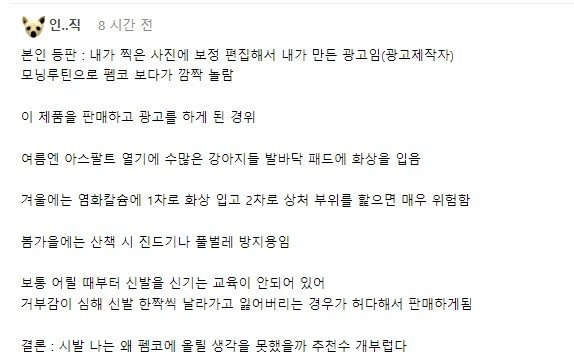 본인.jpg 본인등판 포텐간 강아지 신발 모델 데려옴