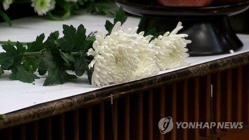 국화 [자료=연합뉴스]