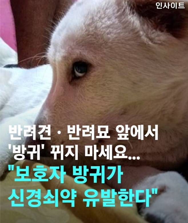 반려견·반려묘 앞에서 \'방귀\' 뀌지 마세요... "보호자 방귀가 신경쇠약 유발한다