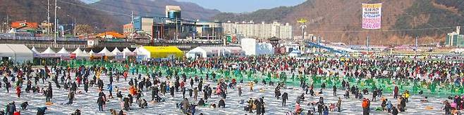 화천산천어축제에서 방문객들이 산천어 잡기를 하고 있는 모습