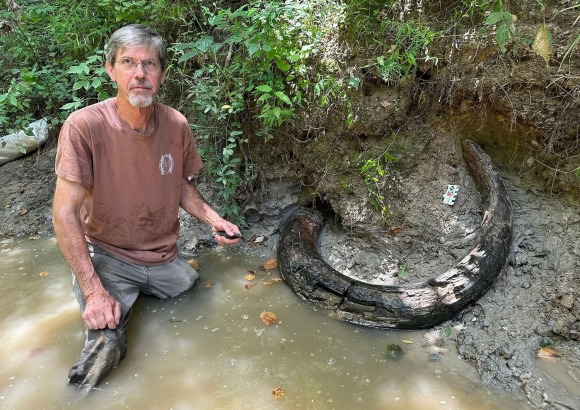 이달 초 매디슨 카운티에서 발견된 매머드 상아 모습. 사진=Mississippi Department of Environmental Quality