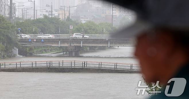 기상청이 17일 오후 6시 5분 부여·논산에 호우주의보를 발령했다. /뉴스1  News1 김성진 기자