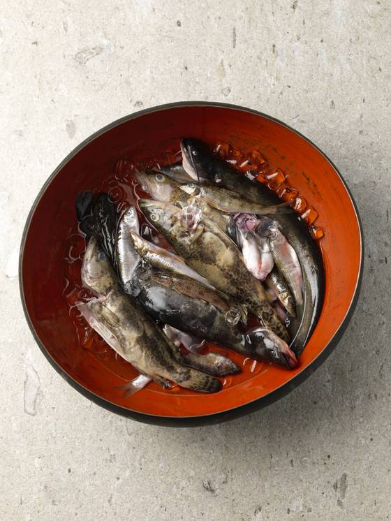 개성에서 특히 발전한 천렵국. [사진 온지음]