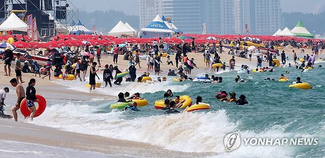 시원한 파도에 무더위 날리고 [연합뉴스 자료사진]