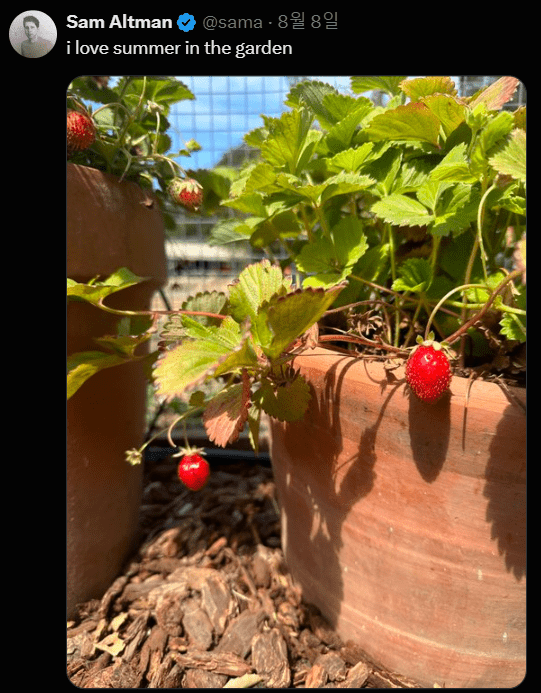 샘 알트먼 오픈AI 대표의 X 게시글 (사진=샘 알트먼 X 캡처)