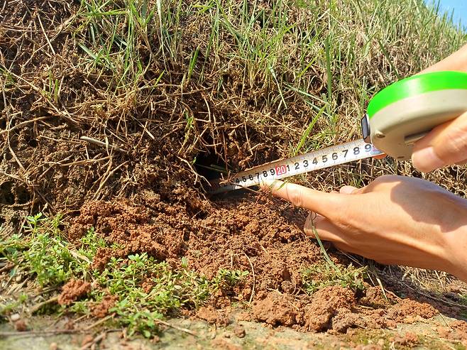 14일 오전 서울 강남구 선릉에 구멍이 발견돼 관계자가 현장을 조사하고 있다. /국가유산청
