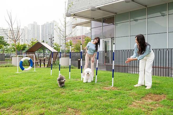 스타필드 하남 내 반려견 야외 놀이터 '펫파크' 모습.(사진=신세계프라퍼티 제공) *재판매 및 DB 금지