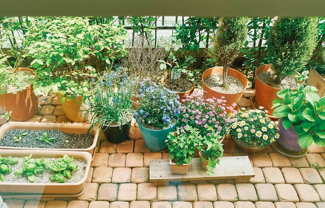 주택살이의 로망을 실현시켜주는 작은 앞마당.