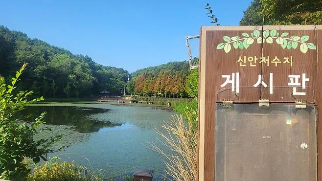 영아 시신이 발견된 신안저수지. ⓒ뉴시스