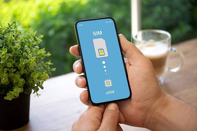 유심을 디지털로 구현한 이심(eSIM) / 출처=셔터스톡