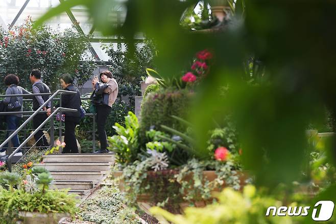 (사진은 기사 내용과 무관함) / 뉴스1 ⓒ News1