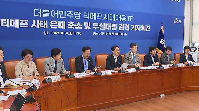 더불어민주당 '티메프 사태 대응 전담팀'