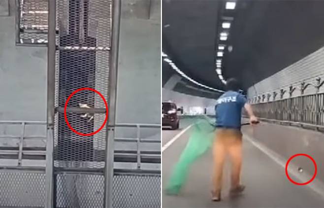 유튜브 '고양이 탐정 옥탐정TV' 캡처