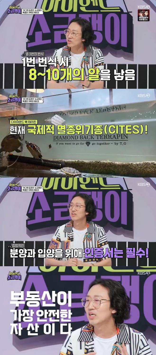 /사진=KBS 2TV '하이엔드 소금쟁이' 방송 캡처