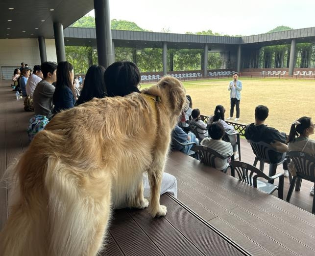 춘천시 반려동물 관련 행사 [춘천시 제공.재판매 및 DB 금지]