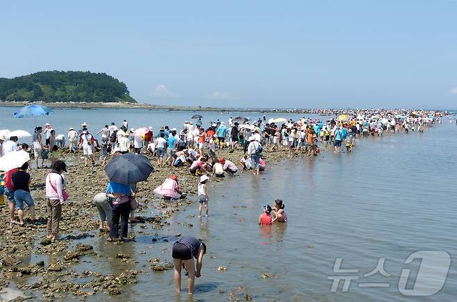 충남 보령 무창포 신비의 바닷길 축제가 오는 10월 18∼20일 열린다. (보령시 제공) /뉴스1