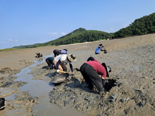 충남 귀어학교에서 현장실습을 하고 있다. 충남도 제공.