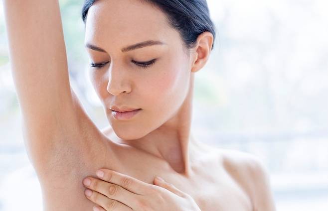 클립아트코리아