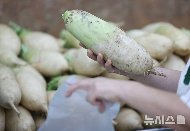 [서울=뉴시스] 김진아 기자 = 지난 18일 서울의 한 대형마트에서 무가 판매되고 있는 모습. 2024.08.18. bluesoda@newsis.com