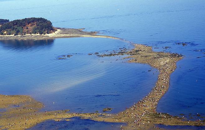 [보령=뉴시스] 충남 보령시 무창포해수욕장 신비의 바닷길 전경. (사진=보령시 제공) 2024.08.21. *재판매 및 DB 금지