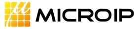 Microip Inc. Logo (PRNewsfoto/Microip Inc.)