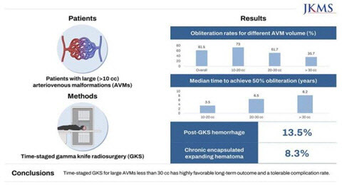 거대 뇌동정맥 기형 환자의 시간-순차적 감마나이프 수술 장기 치료 결과 요약.