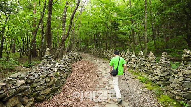 3000여 개의 돌탑이 있는 노추산 모정탑길